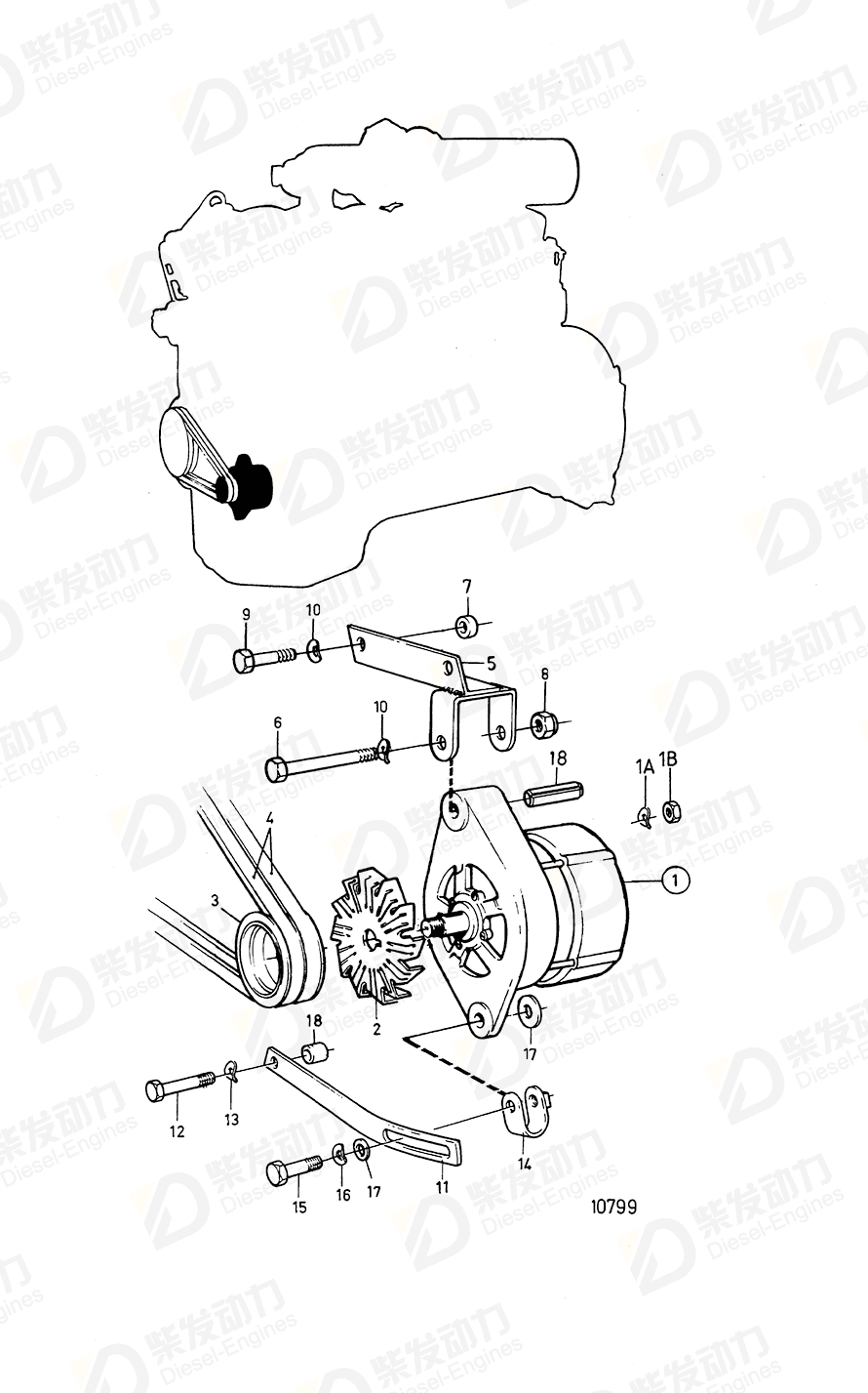 VOLVO V-belt 966798 Drawing